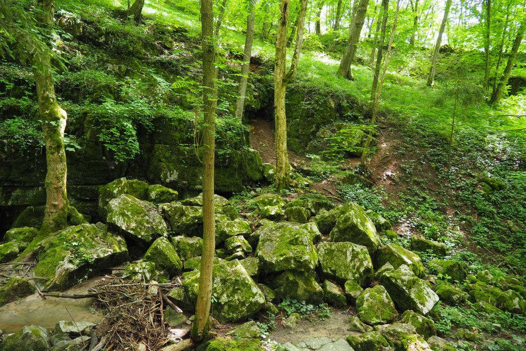 Barunčina pod Svatými schody. Dle Slezáka Zařícená. 2021.