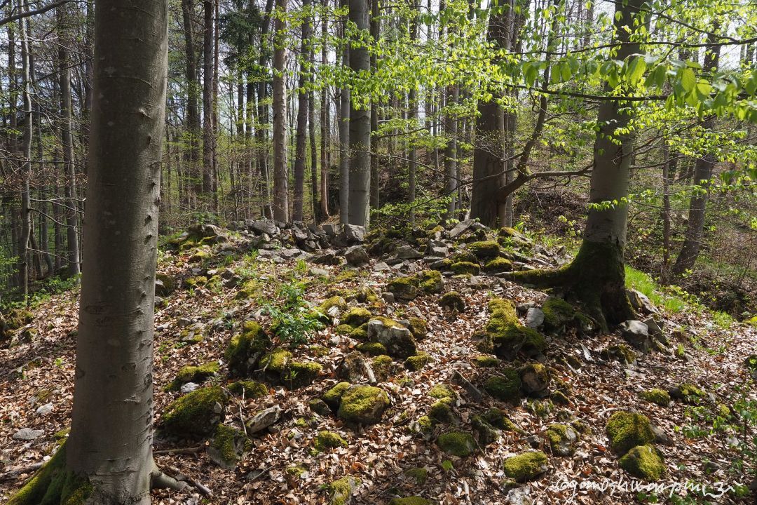 Hrádek u Babic: „Hlavní“ nejčitelnější stavba Hrádku u Babic, ukrývala místnost o půdorysu cca 2,5 x 2 m. Jedná se zbytek poustevny? Foto: Marek Gyaneshwarpuri, 1.5.2023