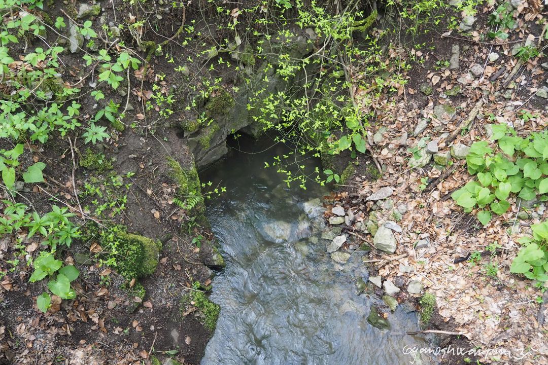 Vývěr Křtinského potoka nad nímž na nevysoké skále je tajemný objekt, který je dnes znám pod názvem „Hrádek u Babic.“ Bezprostřední okolí vývěru je antropogenně velmi pozměněné výstavbou tělesa silnice Adamov - Křtiny. Byli dávní pohané křtěni právě zde, v chladných vodách významného krasového vývěru?  Foto: Marek Gyaneshwarpuri, 1.5.2023.